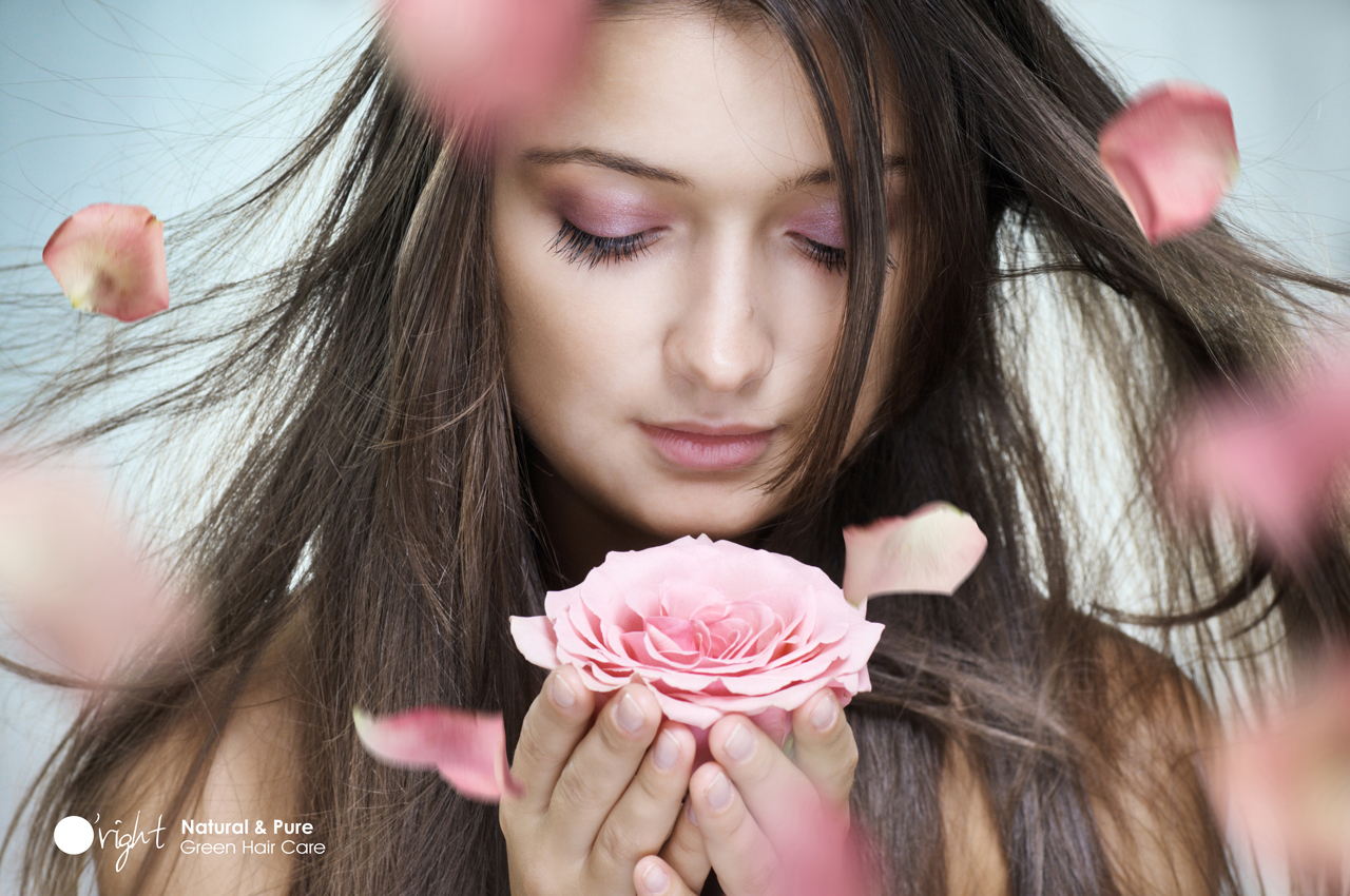 Schultheis Coiffures salon Haarlem